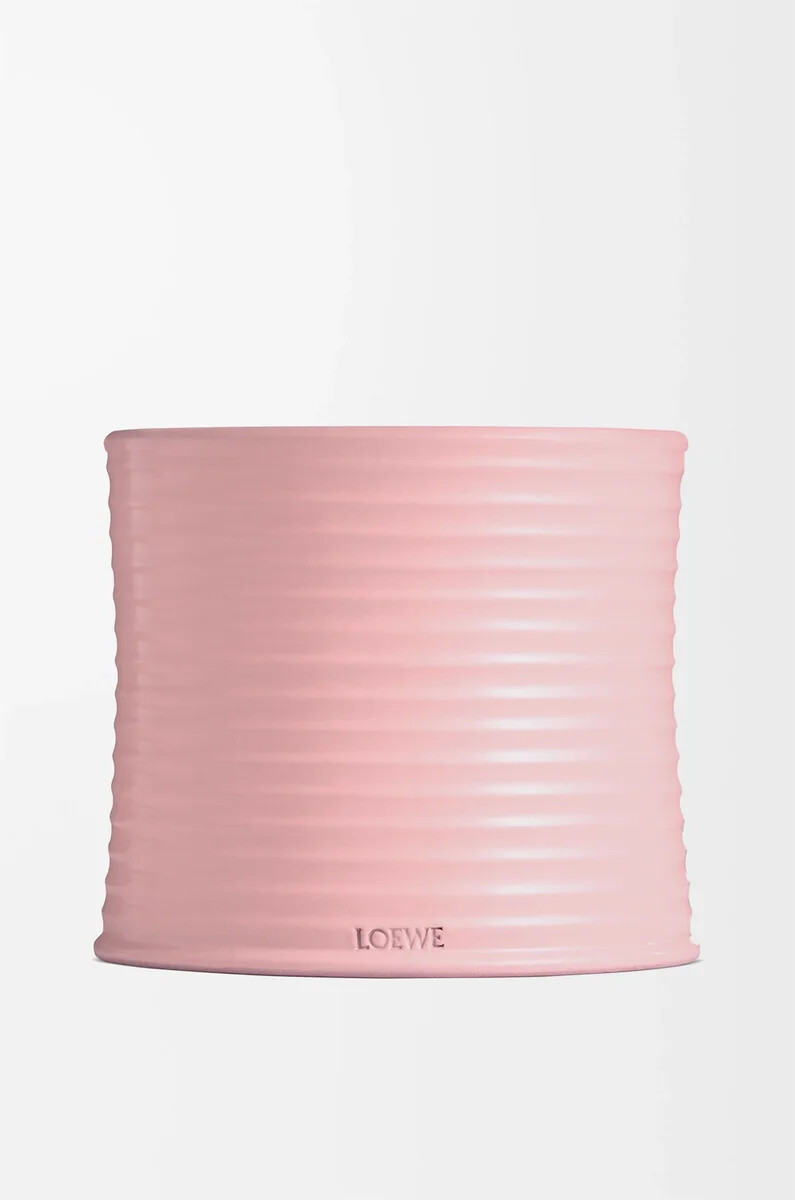große efeu-kerze hellrosa